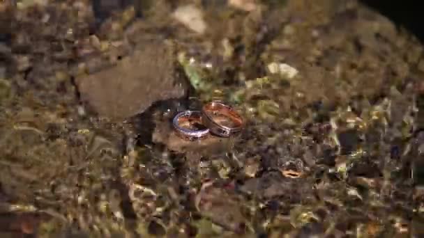 Wedding rings on the water — Stock Video