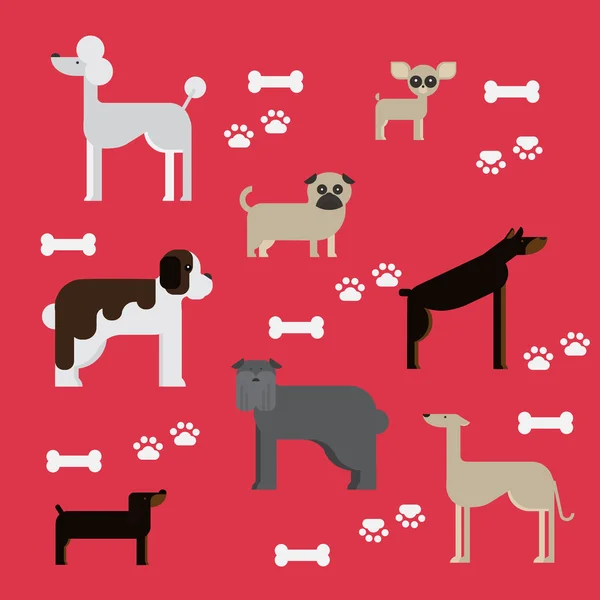 Personajes de perro plano conjunto, colección de animales de animales de dibujos animados chihuahua, doberman, mastín, galgo afgan, st bernard, pug, caqui, dachshund Gráficos vectoriales