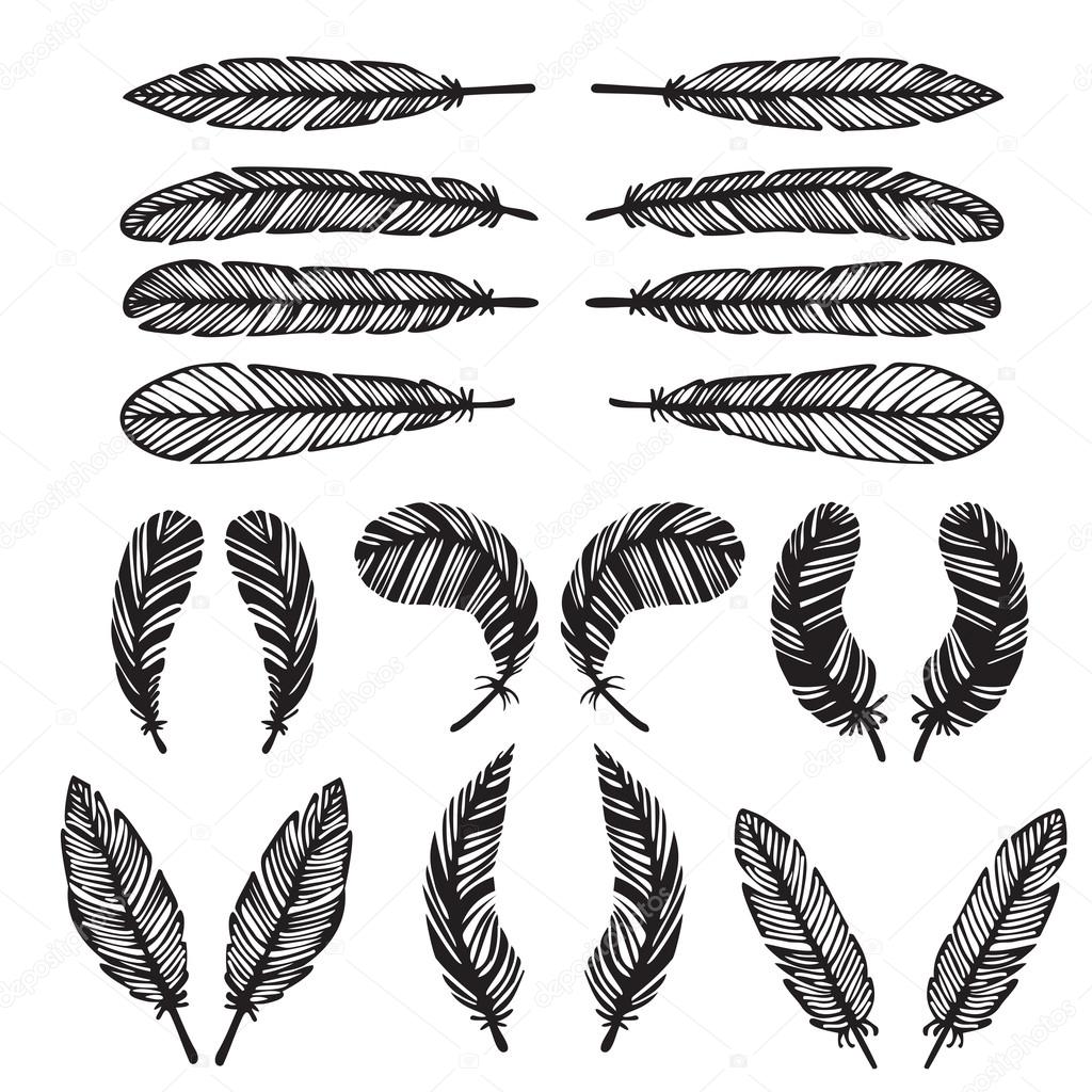 hipster feather elements, vintage doodle feather vector