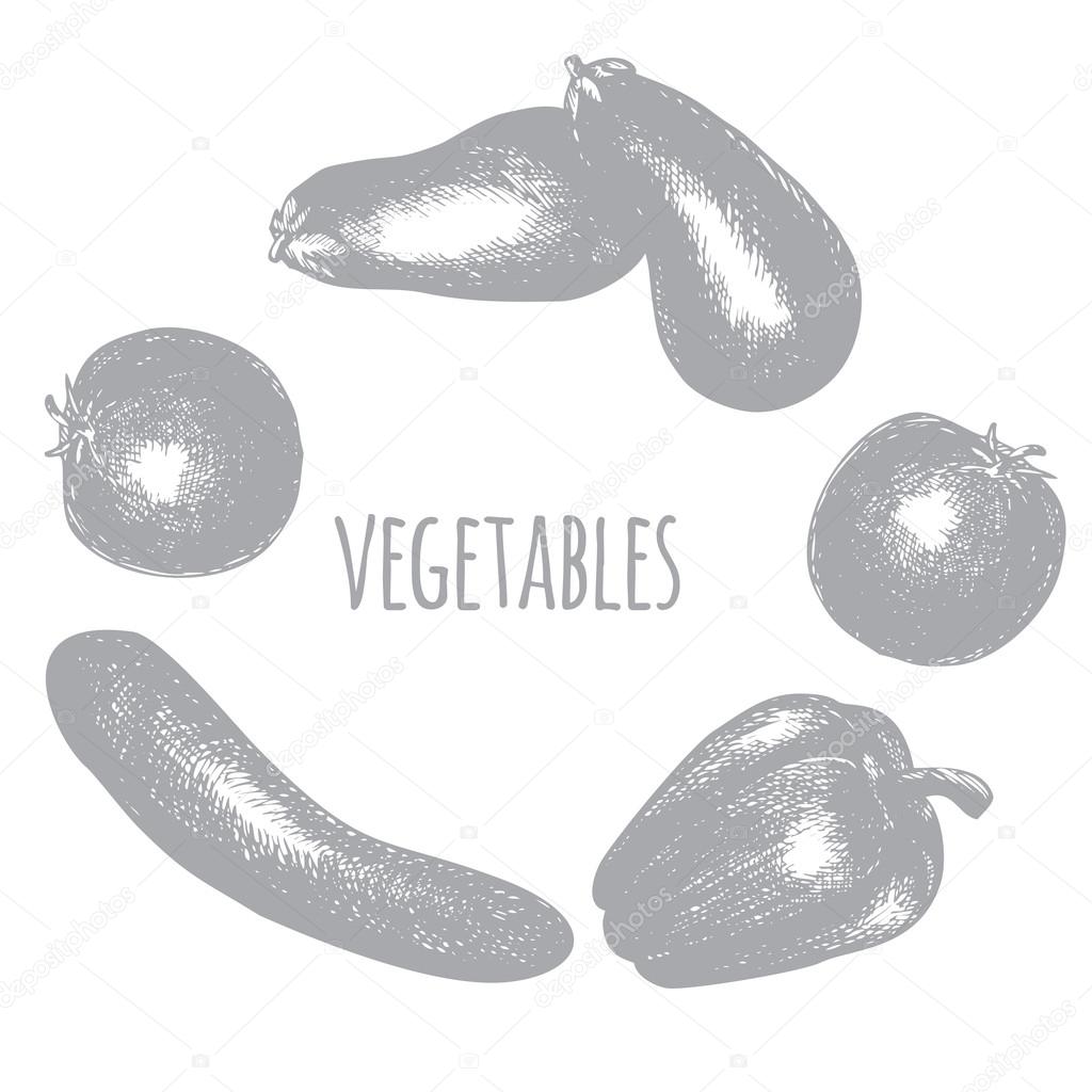 Realistic hand drawn vegetables, set of fresh healthy organic food