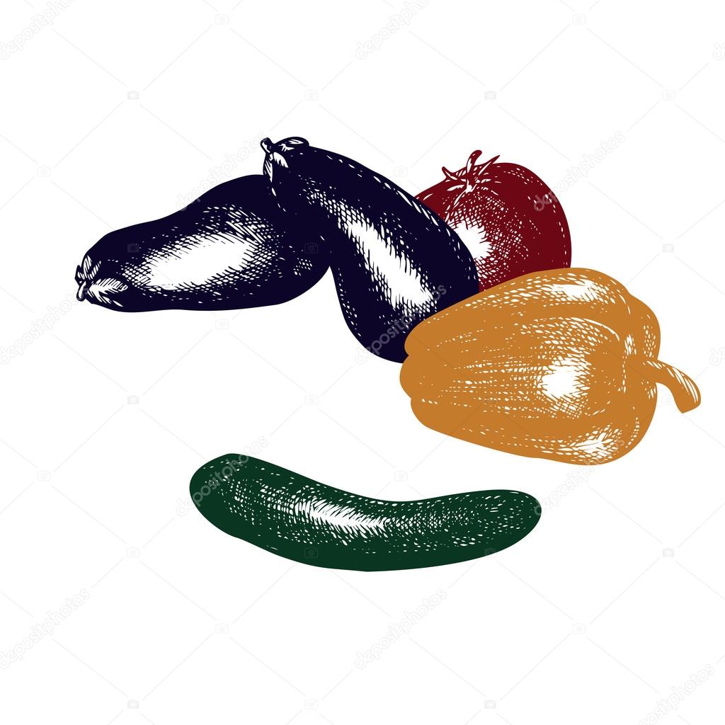 Realistic hand drawn vegetables, set of fresh healthy organic food