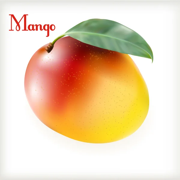 Ripe mango on the white — Stock Vector