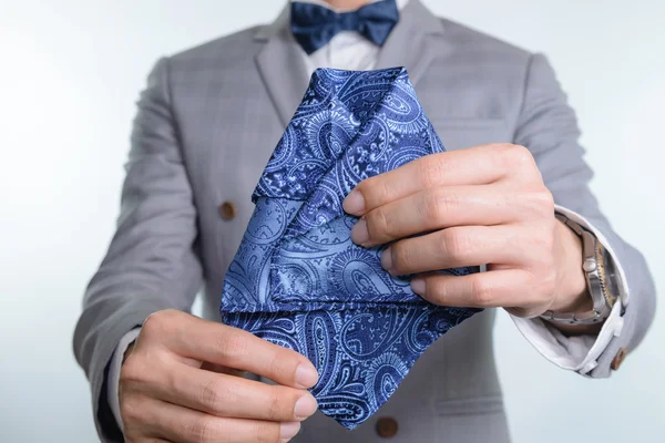 gri renk takımlı ekose doku, papyon, cep Meydanı