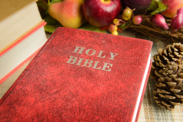 Still life red holy bible — Stock Photo, Image