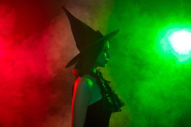 A captivating image of a young witch in a Halloween scene, surrounded by enigmatic fog and dramatic lighting, evoking an air of mystery. Captures a magical atmosphere perfect for the autumn season.