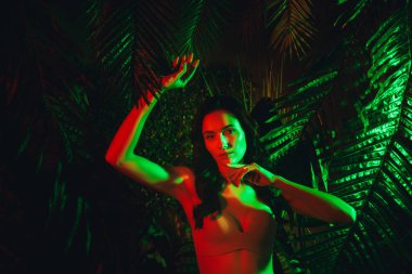 Çarpıcı kırmızı ve yeşil neon ışıklarla aydınlatılan güzel genç kadın modeli, tropikal yapraklarla çevrili canlı bir orman zeminine karşı zarif bir şekilde duruyor, egzotik bir cazibe ve zarafet havası yayıyor..