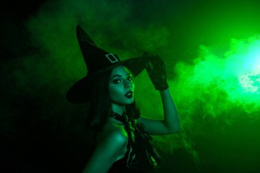 Yeşil sisli bir ortamda büyüleyici bir cadı resmi. Sivri uçlu bir şapka ve koyu renk kıyafet giyiyor. Gizem, sihir ve cadılar bayramı ruhunu temsil ediyor..