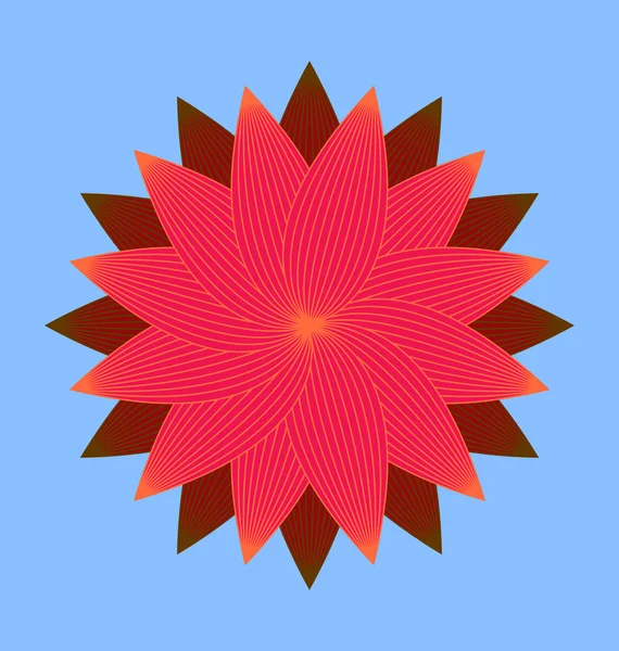 Kırmızı çiçeği resim