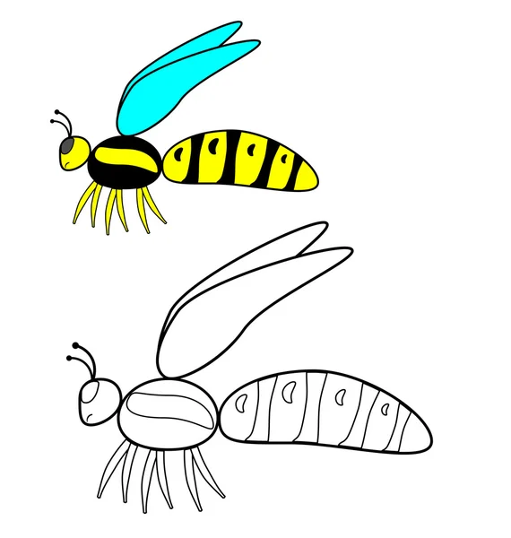 Örnek arı tarafından renk