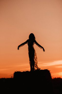 Yazın gün batımında bir tarlada şeffaf elbiseli seksi bir kızın silueti.
