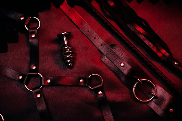 BDSM性别用金属制肛门插头,皮制鞭子和钳 — 图库照片