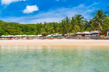 Yazın sahilde, palmiye ağaçlarının altında güneş şemsiyeleri olan lüks bir tropikal tatil köyü. Tayland 'da okyanus kıyısında egzotik kıyı manzarası. Tropik ada plajı