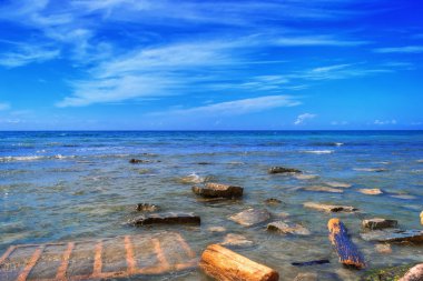 çöp ile kirli beach
