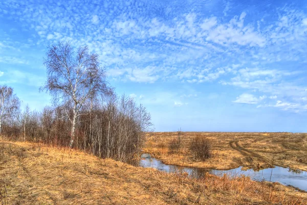 Rzeka brzoza wczesną wiosną pod błękitne niebo — Zdjęcie stockowe