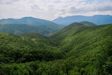 bulutlu gökyüzü altında ormanla kaplı dağları