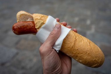 Avusturya 'nın Bitzinger Viyana kentinde geleneksel Avusturyalı Kasekrainer Peyniri Doldurulmuş Sosis. Yüksek kalite fotoğraf