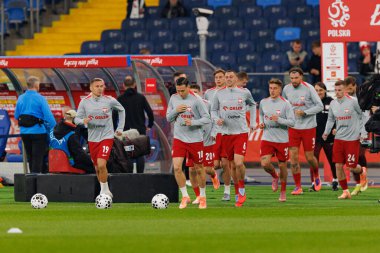 Players of Poland seen  during International friendly game between national teams of Poland and  New Zealand (Maciej Rogowski/Ball Raw Images)