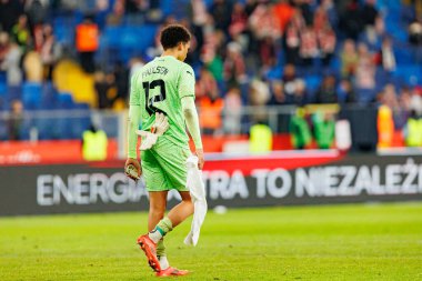 Alex Paulsen seen  during International friendly game between national teams of Poland and  New Zealand (Maciej Rogowski/Ball Raw Images)
