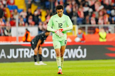 Alex Paulsen seen  during International friendly game between national teams of Poland and  New Zealand (Maciej Rogowski/Ball Raw Images)