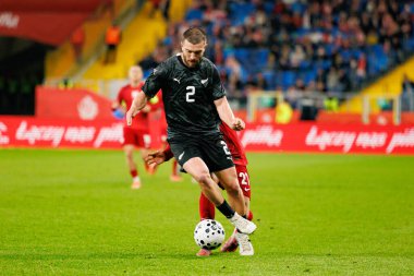 Tim Payne seen  during International friendly game between national teams of Poland and  New Zealand (Maciej Rogowski/Ball Raw Images)