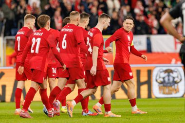 Players of Poland  seen celbrating after goal from Piotr Zielinski during International friendly game between national teams of Poland and  New Zealand (Maciej Rogowski/Ball Raw Images)