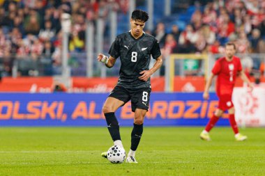 Marko Stamenic  seen  during International friendly game between national teams of Poland and  New Zealand (Maciej Rogowski/Ball Raw Images)