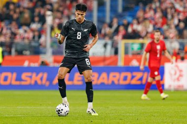 Marko Stamenic  seen  during International friendly game between national teams of Poland and  New Zealand (Maciej Rogowski/Ball Raw Images)
