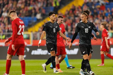 Marko Stamenic seen  during International friendly game between national teams of Poland and  New Zealand (Maciej Rogowski/Ball Raw Images)
