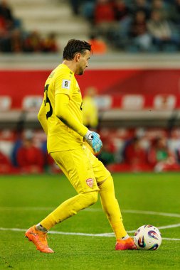 Dünya Kupası 2026 Avrupa ön eleme maçında Belçika ve Kuzey Makedonya milli takımları arasında görülen Dimitrievski 'yi çaldı (Maciej Rogowski / Ball Raw Images)