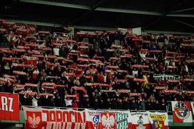 Polonya taraftarları 2026 Dünya Kupası 'nda Litvanya ve Polonya milli takımları arasında oynanan Avrupa Ön eleme maçında görüldüler (Maciej Rogowski / Ball Raw Images)