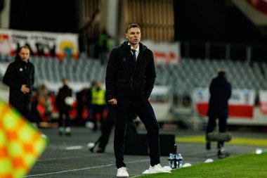 Dünya Kupası 2026 Avrupa Ön eleme maçında Litvanya ve Polonya milli takımları arasında görülen Edgaras Jankauskas (Maciej Rogowski / Ball Raw Images)