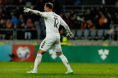 Dünya Kupası 2026 Avrupa Ön eleme maçında Litvanya ve Polonya milli takımları arasında Tomas Svedkauskas görüldü (Maciej Rogowski / Ball Raw Images)