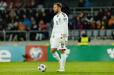 Dünya Kupası 2026 Avrupa Ön eleme maçında Litvanya ve Polonya milli takımları arasında Tomas Svedkauskas görüldü (Maciej Rogowski / Ball Raw Images)