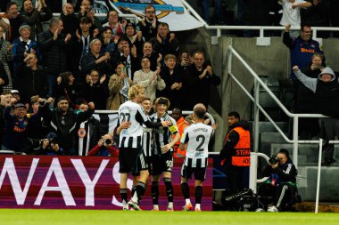 Newcastle oyuncuları, Newcastle United FC ve SL Benfica (Maciej Rogowski / Ball Raw Images) arasındaki Şampiyonlar Ligi faz maçında gol üstüne gol atarken görüldü)