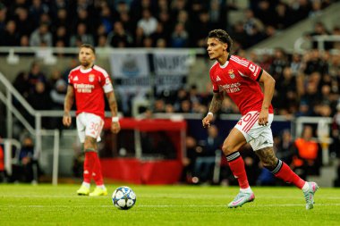 Richard Rios, Newcastle United FC ve SL Benfica (Maciej Rogowski / Ball Raw Images) arasındaki Şampiyonlar Ligi faz maçında görüldü.)