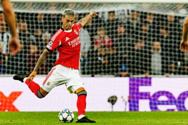 Enzo Barrenechea, Newcastle United FC ve SL Benfica (Maciej Rogowski / Ball Raw Images) arasındaki Şampiyonlar Ligi faz maçında görüldü.)