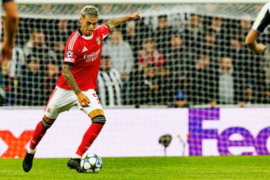 Enzo Barrenechea, Newcastle United FC ve SL Benfica (Maciej Rogowski / Ball Raw Images) arasındaki Şampiyonlar Ligi faz maçında görüldü.)