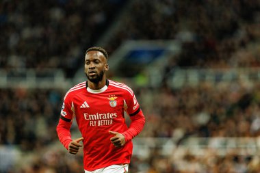 Dodi Lukebakio, Newcastle United FC ile SL Benfica (Maciej Rogowski / Ball Raw Images) arasındaki Şampiyonlar Ligi faz maçında görüldü.)