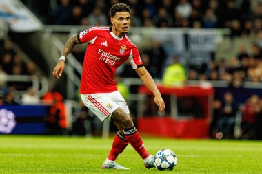 Richard Rios, Newcastle United FC ve SL Benfica (Maciej Rogowski / Ball Raw Images) arasındaki Şampiyonlar Ligi faz maçında görüldü.)
