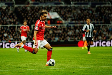 Amar Dediç, Newcastle United FC ile SL Benfica (Maciej Rogowski / Ball Raw Images) arasındaki Şampiyonlar Ligi faz maçında görüldü.)