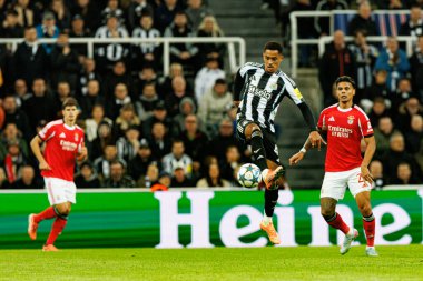 Jacob Ramsey, Newcastle United FC ve SL Benfica (Maciej Rogowski / Ball Raw Images) arasındaki Şampiyonlar Ligi faz maçında görüldü.)