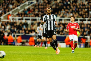 Joelinton, Newcastle United FC ve SL Benfica (Maciej Rogowski / Ball Raw Images) arasında Şampiyonlar Ligi faz oyunu sırasında görüldü)