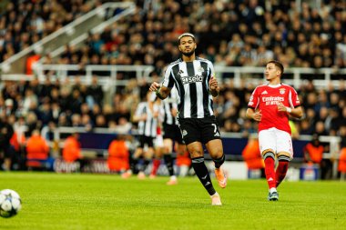 Joelinton, Newcastle United FC ve SL Benfica (Maciej Rogowski / Ball Raw Images) arasında Şampiyonlar Ligi faz oyunu sırasında görüldü)