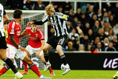 Nick Woltemade, Newcastle United FC ve SL Benfica (Maciej Rogowski / Ball Raw Images) arasında Şampiyonlar Ligi faz maçında görüldü.)