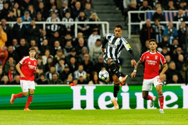 Jacob Ramsey, Newcastle United FC ve SL Benfica (Maciej Rogowski / Ball Raw Images) arasındaki Şampiyonlar Ligi faz maçında görüldü.)