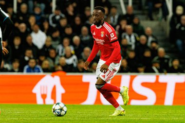 Dodi Lukebakio, Newcastle United FC ile SL Benfica (Maciej Rogowski / Ball Raw Images) arasındaki Şampiyonlar Ligi faz maçında görüldü.)