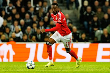 Dodi Lukebakio, Newcastle United FC ile SL Benfica (Maciej Rogowski / Ball Raw Images) arasındaki Şampiyonlar Ligi faz maçında görüldü.)