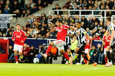 Vangelis Pavlidis, Newcastle United FC ve SL Benfica (Maciej Rogowski / Ball Raw Images) arasındaki Şampiyonlar Ligi faz maçında görüldü)