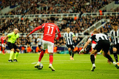 Dodi Lukebakio, Newcastle United FC ile SL Benfica (Maciej Rogowski / Ball Raw Images) arasındaki Şampiyonlar Ligi faz maçında görüldü.)