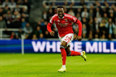 Dodi Lukebakio, Newcastle United FC ile SL Benfica (Maciej Rogowski / Ball Raw Images) arasındaki Şampiyonlar Ligi faz maçında görüldü.)